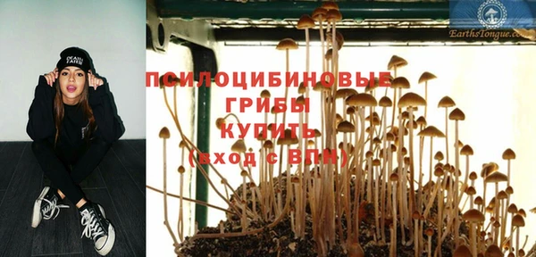 меф Долгопрудный