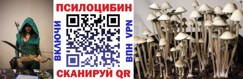 Псилоцибиновые грибы Psilocybe Льгов